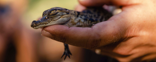 2nd story template - 2026-03-17T110705.119