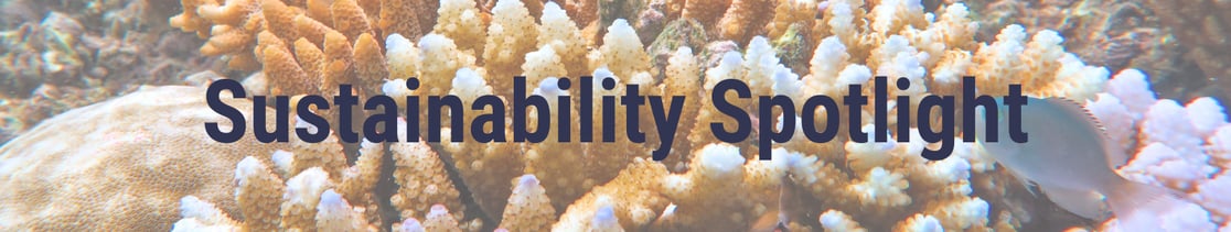 Copy of Copy of Copy of Sustainability Banner (2)