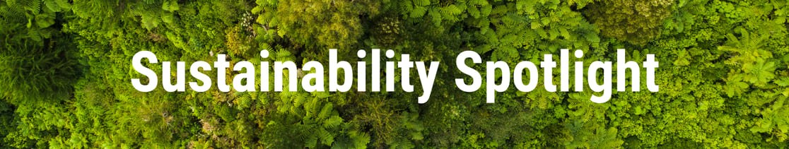 Copy of Copy of Sustainability Banner
